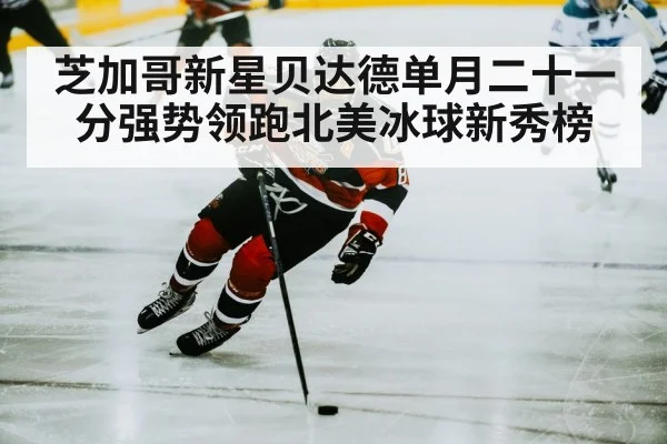 芝加哥新星贝达德单月二十一分强势领跑北美冰球新秀榜