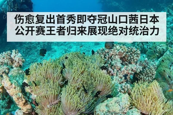 伤愈复出首秀即夺冠山口茜日本公开赛王者归来展现绝对统治力